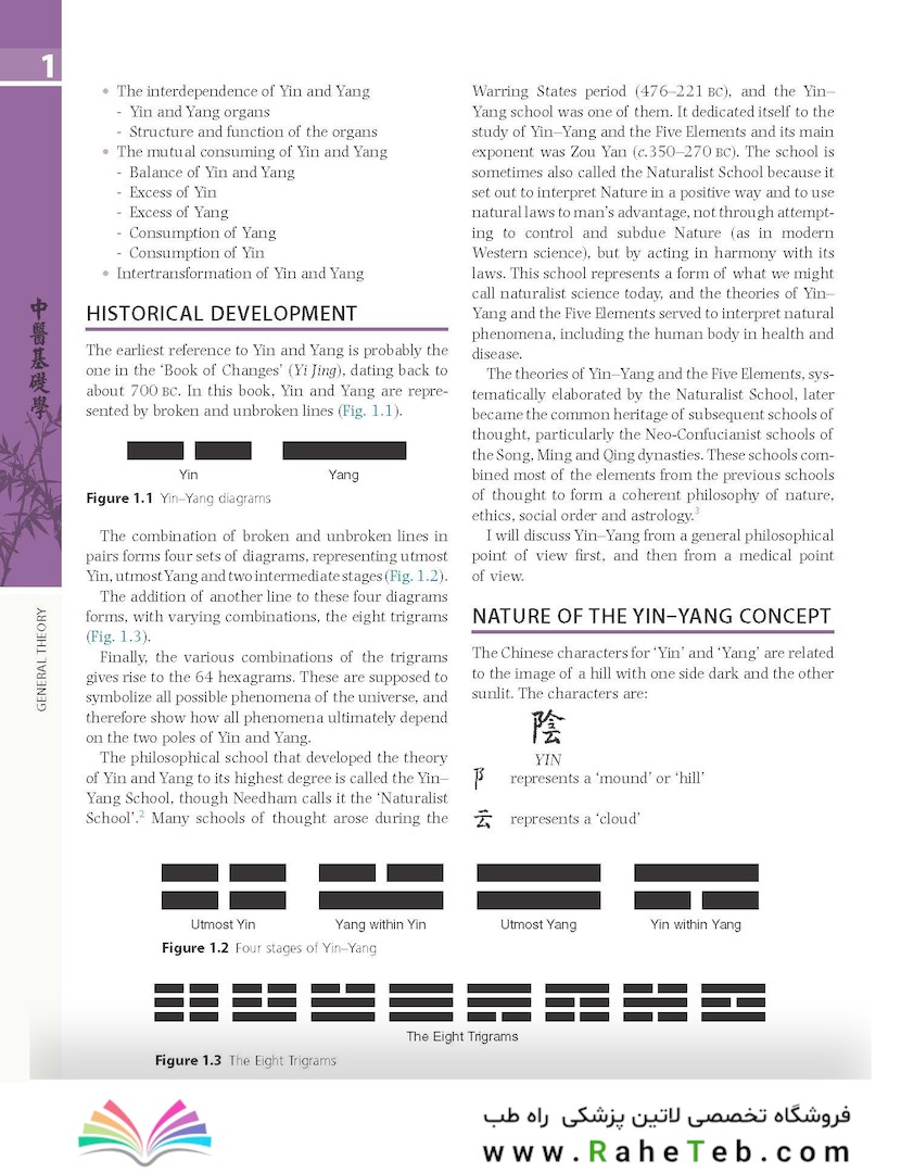 The Foundations of Chinese Medicine : A Comprehensive Text