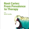 Root Caries: From Prevalence to Therapy
