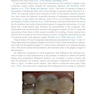 Material-Tissue Interfacial Phenomena : Contributions from Dental and Craniofacial Reconstructions 2017