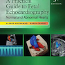 A Practical Guide to Fetal Echocardiography: Normal and Abnormal Hearts 3rd Edición