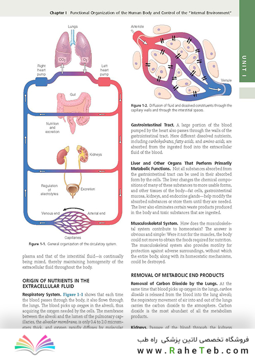 Guyton and Hall Textbook of Medical Physiology (Guyton Physiology) 13th Edition