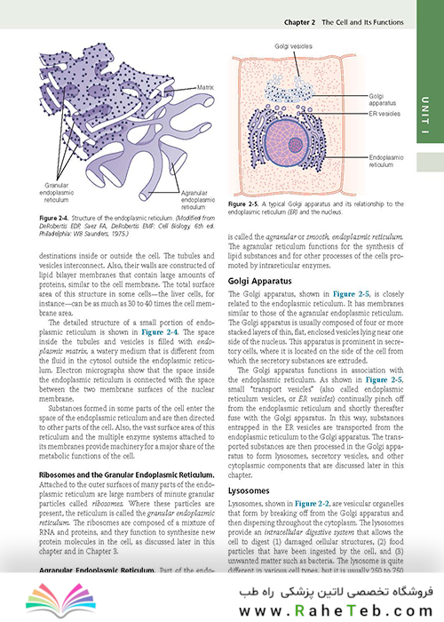 Guyton and Hall Textbook of Medical Physiology (Guyton Physiology) 13th Edition