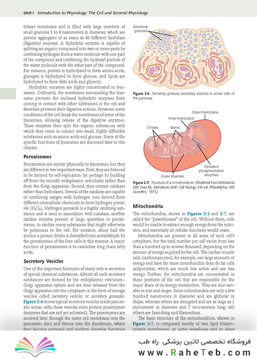 Guyton and Hall Textbook of Medical Physiology (Guyton Physiology) 13th Edition