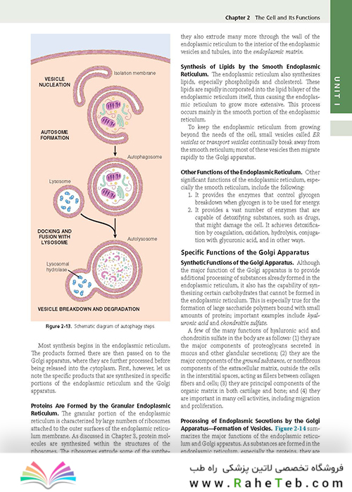 Guyton and Hall Textbook of Medical Physiology (Guyton Physiology) 13th Edition