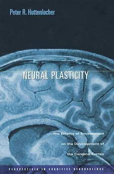 Neural Plasticity : The Effects of Environment on the Development of the Cerebral Cortex
