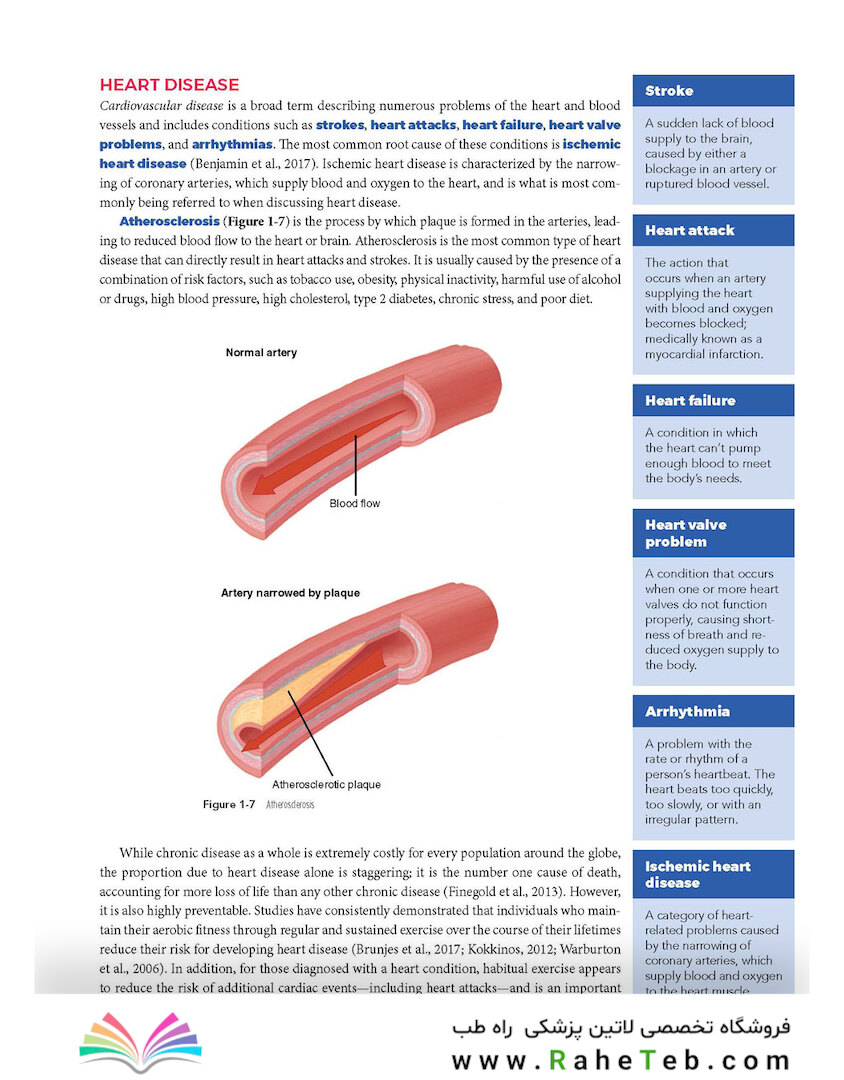NASM Essentials of Personal Fitness Training