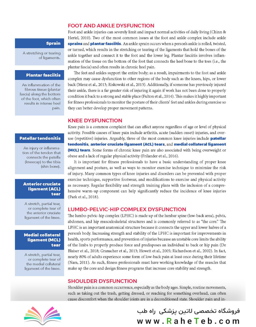 NASM Essentials of Personal Fitness Training