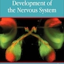 Development of the Nervous System 4th Edición