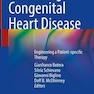 Modelling Congenital Heart Disease : Engineering a Patient-specific Therapy