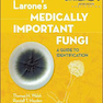 Larone’s Medically Important Fungi: A Guide to Identification Sixth Edition2018 قارچ های مهم پزشکی لارون