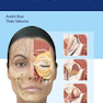 Dermal Fillers : Facial Anatomy and Injection Techniques2020