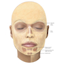 Dermal Fillers : Facial Anatomy and Injection Techniques2020