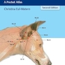 Acupuncture for Dogs and Cats : A Pocket Atlas