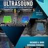 Multiparametric Ultrasound for the Assessment of Diffuse Liver Disease : A Practical Approach 2023