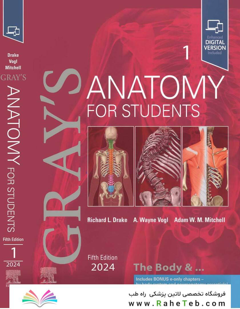 Gray's Anatomy for Students 2024 VOL 1 2024