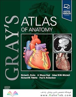 Gray's Atlas of Anatomy 4th Edition