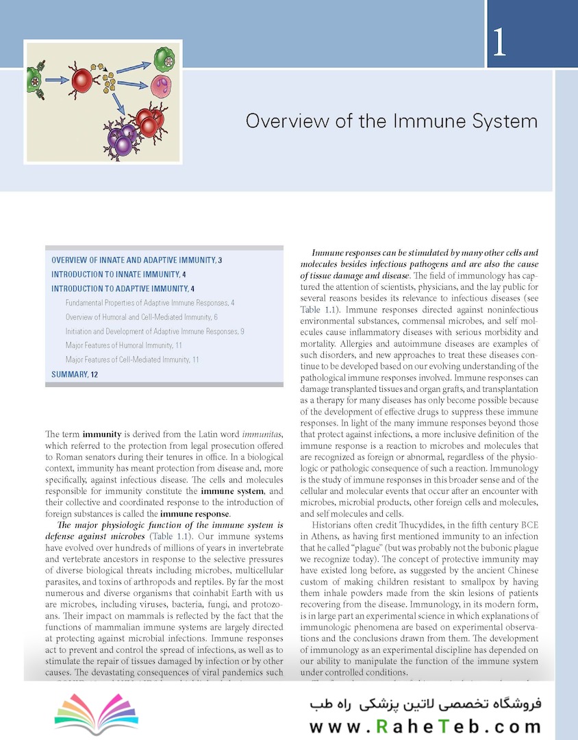 Cellular and Molecular Immunology 11th Edition