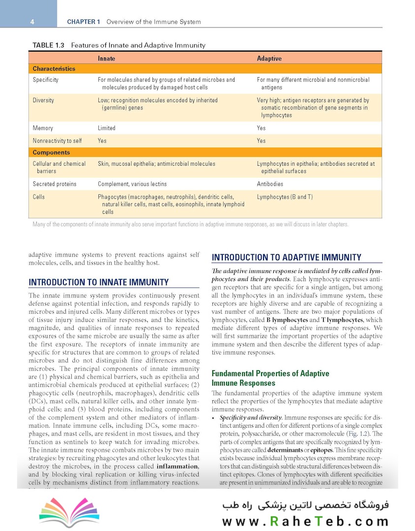 Cellular and Molecular Immunology 11th Edition