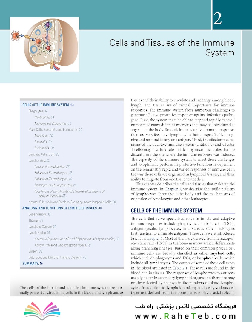 Cellular and Molecular Immunology 11th Edition