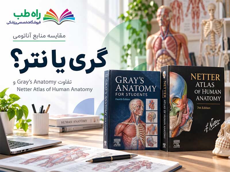 تفاوت کتاب آناتومی و اطلس؛ راهنمای انتخاب گری و نتتر